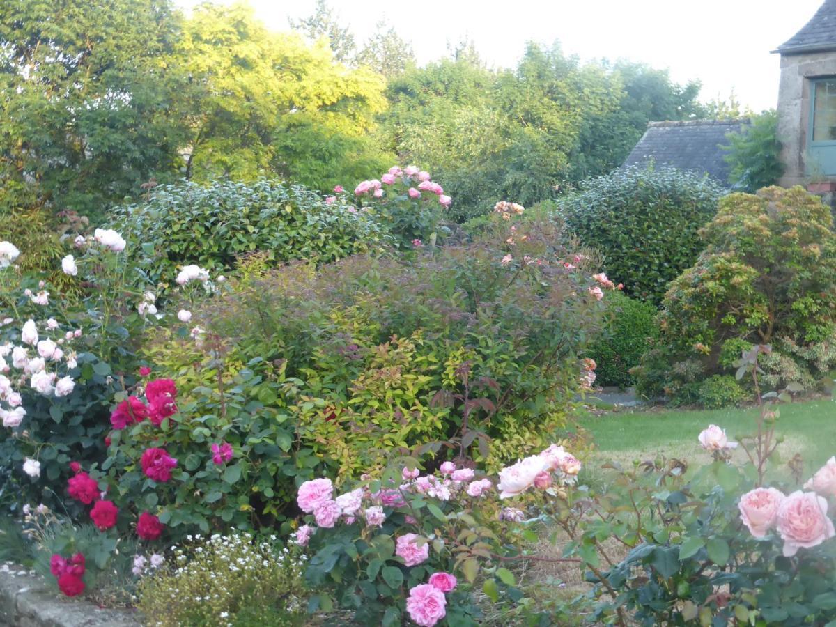Ty Dreux Entre Terre Et Mer Saint-Thegonnec Loc-Eguiner Exterior photo